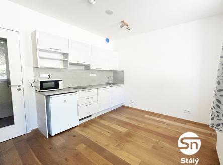 IMG_7528 | Pronájem bytu, 1+kk, 20 m²