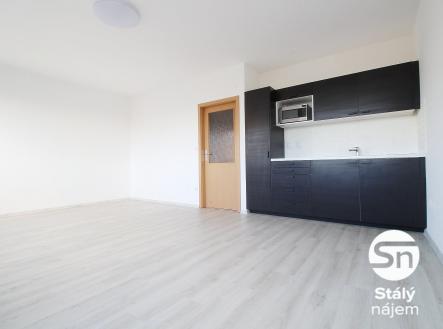 IMG_9564 | Pronájem bytu, 1+kk, 35 m²
