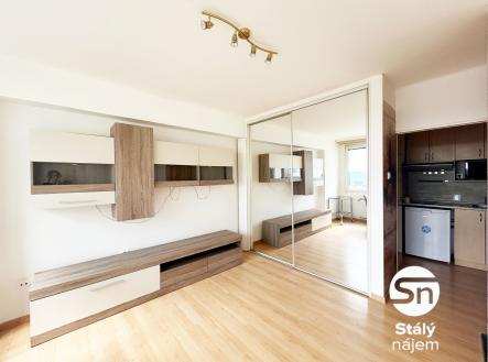 IMG_5064 | Pronájem bytu, 1+kk, 23 m²