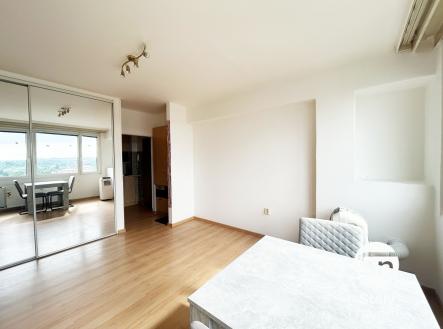 IMG_5066 | Pronájem bytu, 1+kk, 23 m²
