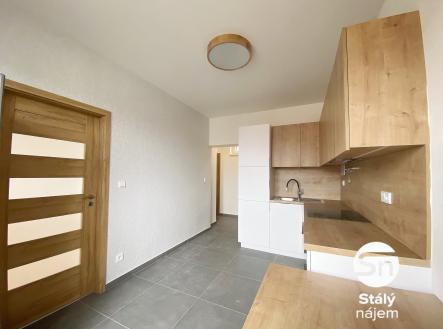 IMG_1007 | Pronájem bytu, 1+1, 48 m²