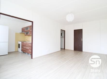 IMG_0392 | Pronájem bytu, 3+1, 55 m²