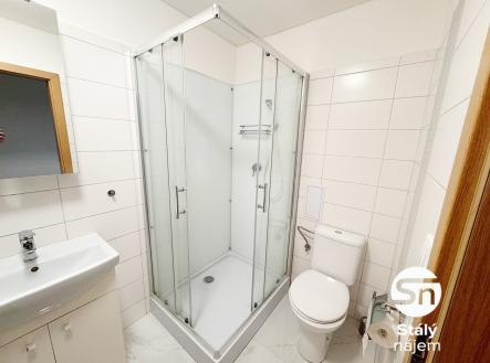 IMG_6553 | Pronájem bytu, 1+kk, 31 m²