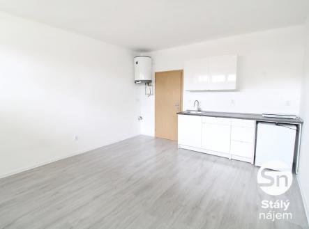 IMG_7677 | Pronájem bytu, 1+kk, 31 m²