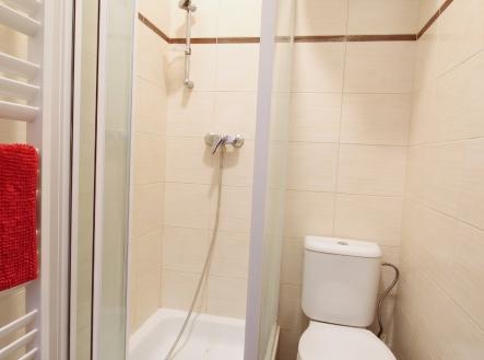 ul. Řehořova_07 | Pronájem bytu, 1+1, 37 m²