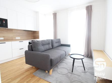 IMG_6151 | Pronájem bytu, 2+kk, 38 m²