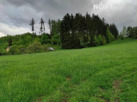 Prodej - pozemek, trvalý travní porost, 4 273 m²