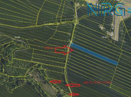 Prodej - pozemek, zemědělská půda, 4 711 m²