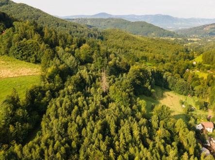Prodej - pozemek, les, 20 558 m² obrázek