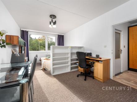 Prodej bytu, 2+kk, 56 m²