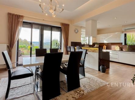 Prodej - dům/vila, 540 m²