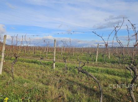 . | Prodej - pozemek, ostatní, 20 906 m²