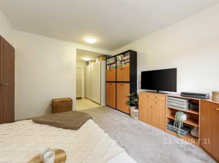 . | Pronájem bytu, 2+kk, 43 m²