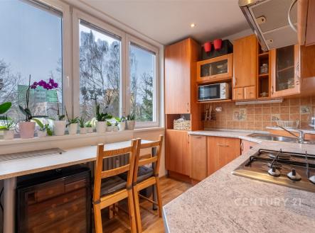 . | Prodej bytu, 3+1, 56 m²