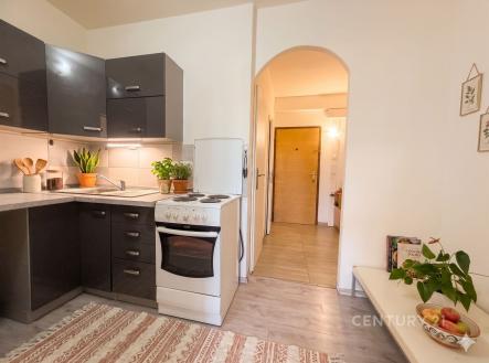 Prodej bytu, 1+kk, 31 m² obrázek