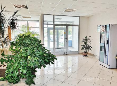 Vstupní hala s dlažbou, velkými okny a moderním vendingovým automatem, nabízí světlý prostor a příjemnou atmosféru s rostlinami. | Pronájem - kanceláře, 18 m²
