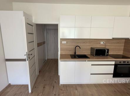 Pronájem bytu, 1+kk, 33 m² obrázek