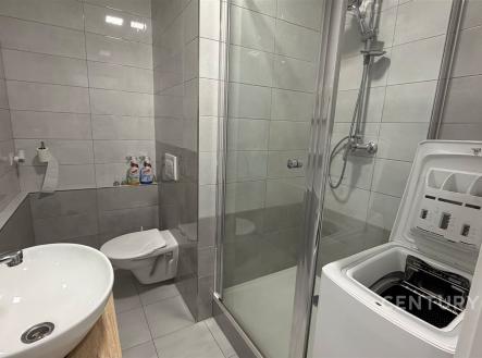 . | Pronájem bytu, 1+kk, 33 m²