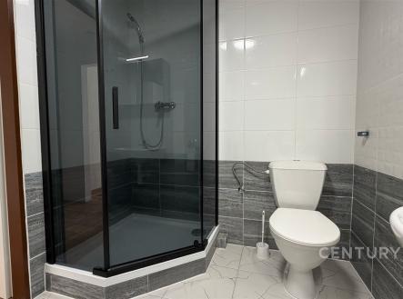 . | Pronájem bytu, 1+kk, 26 m²