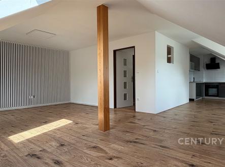 . | Pronájem bytu, 1+kk, 65 m²