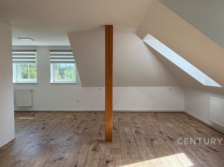 . | Pronájem bytu, 1+kk, 65 m²