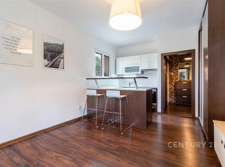 . | Pronájem bytu, 1+kk, 22 m²