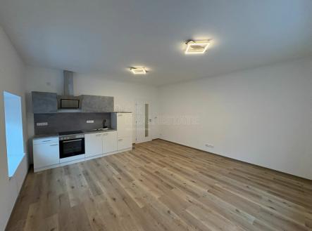 kuchyne2.jpg | Pronájem bytu, 1+kk, 46 m²