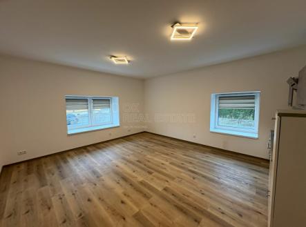 obyvak.jpg | Pronájem bytu, 1+kk, 46 m²