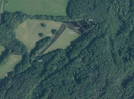 fotografie | Prodej - pozemek, trvalý travní porost, 9 985 m²