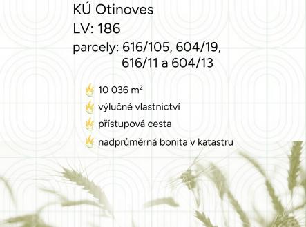 fotografie | Prodej - pozemek, zemědělská půda, 10 036 m²