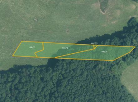 fotografie | Prodej - pozemek, trvalý travní porost, 14 613 m²