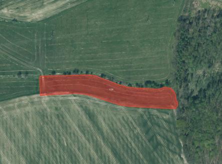 fotografie | Prodej - pozemek, trvalý travní porost, 9 572 m²