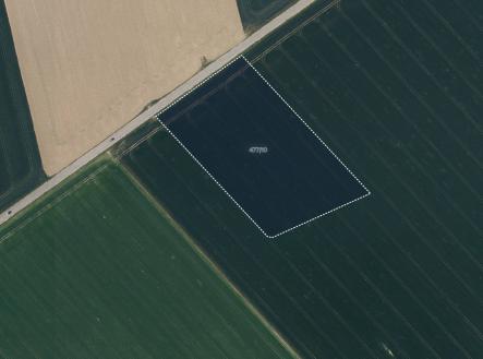 fotografie | Prodej - pozemek, zemědělská půda, 4 033 m²