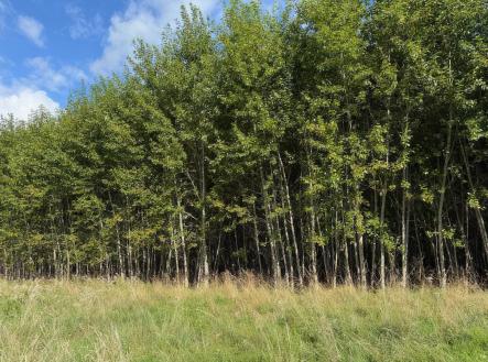 fotografie | Prodej - pozemek, zemědělská půda, 108 179 m²