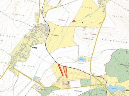 fotografie | Prodej - pozemek, trvalý travní porost, 6 962 m²