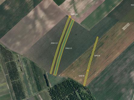 fotografie | Prodej - pozemek, zemědělská půda, 51 348 m²