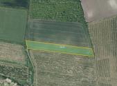 Prodej - pozemek, zemědělská půda, 7 043 m²