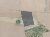 Prodej - pozemek, zemědělská půda, 7 802 m²