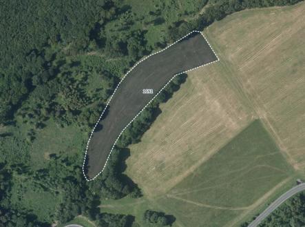 fotografie | Prodej - pozemek, trvalý travní porost, 11 765 m²