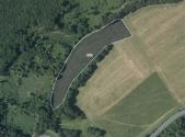 Prodej - pozemek, trvalý travní porost, 11 765 m²