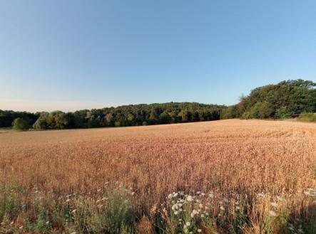 fotografie | Prodej - pozemek, zemědělská půda, 16 924 m²