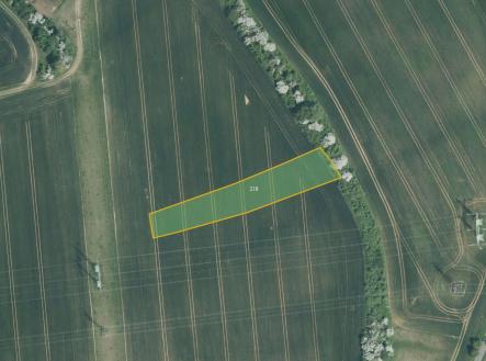 fotografie | Prodej - pozemek, zemědělská půda, 10 084 m²