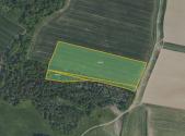 Prodej - pozemek, zemědělská půda, 30 999 m²