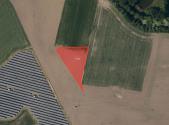 Prodej - pozemek, zemědělská půda, 6 981 m²