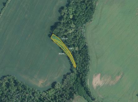 fotografie | Prodej - pozemek, trvalý travní porost, 9 029 m²