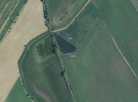 fotografie | Prodej - pozemek, trvalý travní porost, 9 612 m²