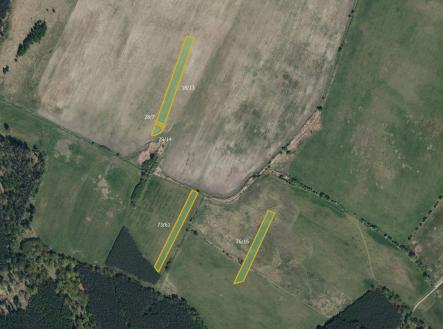 fotografie | Prodej - pozemek, trvalý travní porost, 18 416 m²