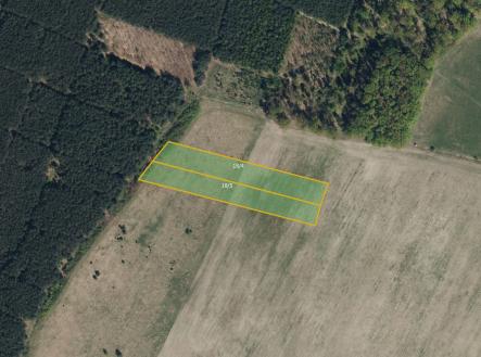 fotografie | Prodej - pozemek, trvalý travní porost, 18 416 m²