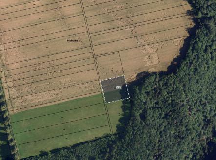 fotografie | Prodej - pozemek, trvalý travní porost, 16 163 m²