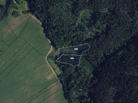 fotografie | Prodej - pozemek, trvalý travní porost, 16 163 m²